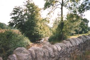 Long Mynd